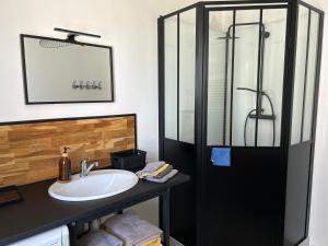 a bathroom with a sink and a shower at BELISAMA in Molsheim +16 photos