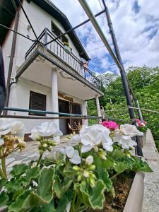 a house with flowers in front of it at Milla Sky in Varaždinske Toplice