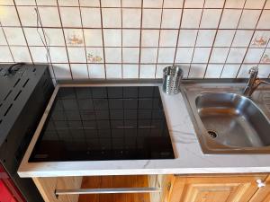 a kitchen counter with a sink and a stove at Ceda Fiore in Costalta