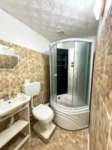 a bathroom with a shower and a toilet and a sink at Pensiunea Pitaru in Calafat