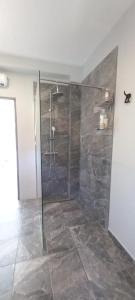 a bathroom with a shower with a glass door at Kuća za odmor Belvedere in Siverić +15 photos