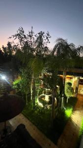 a garden at night with trees and lights at Oloft in Marrakesh
