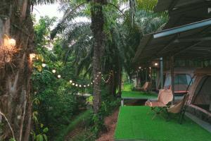 a backyard with a tent and chairs and lights at Khaosok Malinglamping in Ban Thung Lang Tham