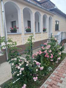 a garden of pink roses in front of a house at Casa Petrutiu1 in Ocna-Mureşului