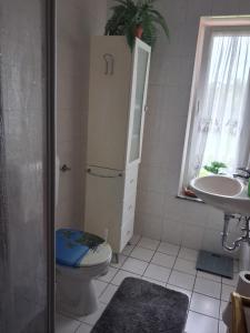 a bathroom with a refrigerator and a toilet and a sink at Ferienwohnung Silvia in Steinhagen