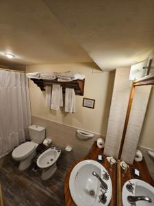 a bathroom with a toilet and a sink at Rosa De Los Vientos in Ushuaia +44 photos