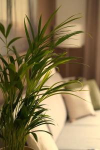a green plant sitting on top of a couch at Happywild in Schlangenbad +36 photos