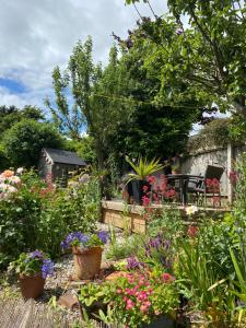 a garden with lots of flowers and plants at Cobweb Cottage in Patrington