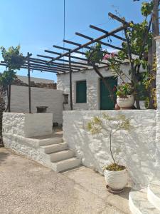 a white building with two potted plants on a wall at Lefkiani House in Katapola