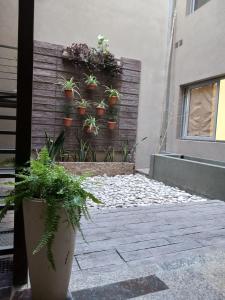 a group of potted plants on the side of a building at Mini departamento LUMIC II in Santa Fe