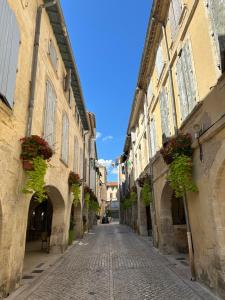 an alley in an old town with flowerpots on the buildings at Escapade provençale in Tarascon