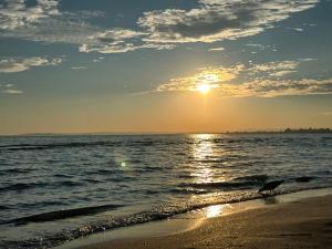 a bird walking on the beach at sunset at Escapade provençale in Tarascon +6 photos