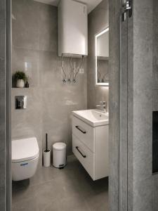a bathroom with a white toilet and a sink at Graphite House in Kyiv +16 photos