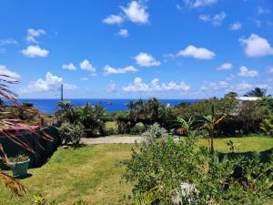 a garden with the ocean in the background at Cozy Stays in Oranjestad