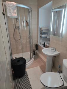 a bathroom with a shower and a toilet and a sink at Kuninga Apartment in Old Town with Free Parking in Pärnu