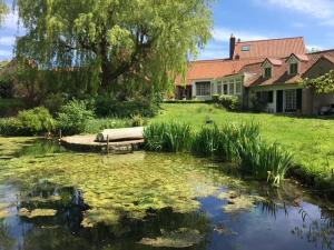 a yard with a pond in front of a house at Les 4 saisons in Menneville