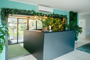 a kitchen with a counter with plants on it at Hotel RH Boutique Aruba in Oranjestad +165 photos