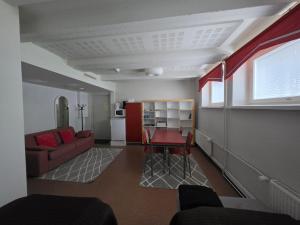 a living room with a couch and a table at Apartments Puistokatu in Savonlinna