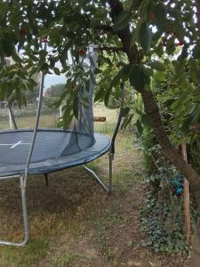 a blue trampoline sitting next to a tree at Studio LIMES in Zatonje