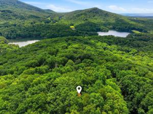 an aerial view of a forest of trees with two reservoirs at Sharp Top Mountain Retreat in Jasper