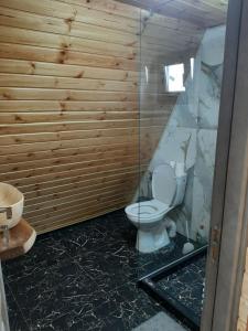 a bathroom with a toilet and a glass wall at Aframe Iza in Bradu