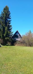 a house sitting in the middle of a grass field at Ferienpark Vorauf Typ B/Oslo Wacholderweg 10 in Siegsdorf