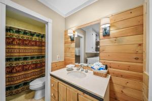 a bathroom with a sink and a toilet at Four Bear Falls in Banner Elk +47 photos