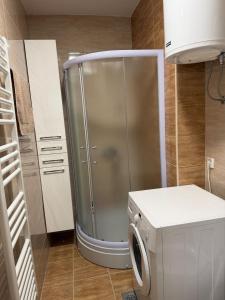 a shower in a kitchen with a washing machine at Apartman BIANKA in Bijeljina