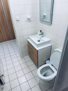a bathroom with a toilet and a sink at Apart Aurum B&M in Jáchymov +11 photos