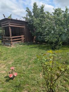 a building with a yard with flowers in the grass at Cozy House Corbu in Corbu