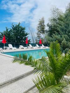 a swimming pool with chaise lounge chairs and trees at GrapeHill Cottage in Achʼqva