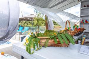 a table with two baskets of plants on it at Panorama Apartments in Chrani