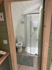 a bathroom with a shower and a toilet at Pennygael in Lanark +9 photos