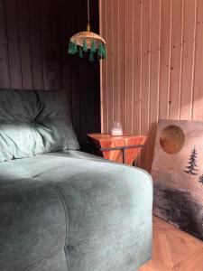 a room with a couch and a side table and a lamp at Connect Cabin - Bungalow Brasov, jacuzzi & forest view in Purcăreni +46 photos