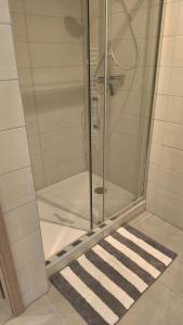 a shower stall with a glass door with a rug at Logis Saint Martin in Colmar