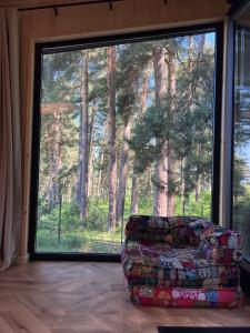 a living room with a couch in front of a large window at Connect Cabin - Bungalow Brasov, jacuzzi & forest view in Purcăreni