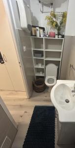 a bathroom with a white toilet and a sink at Appartement 5 - T2 Meublé 2 étoiles proche des thermes in Vals-les-Bains