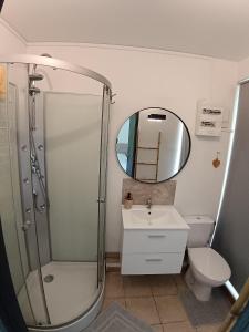 a bathroom with a shower and a sink and a mirror at L'annexe in Gouy +19 photos