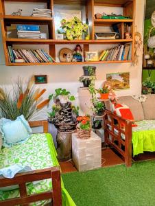 a room with two beds and shelves with plants at Casa Lulú in Mexico City