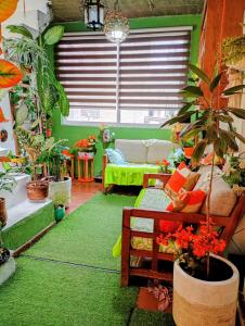 a living room filled with lots of plants and a couch at Casa Lulú in Mexico City
