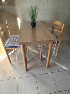 a wooden table and chairs with a potted plant on it at Casa Marelia - studio A2 in Primošten +5 photos