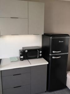 a kitchen with a black microwave and a refrigerator at Nova Ledeza NL II in Igoumenitsa