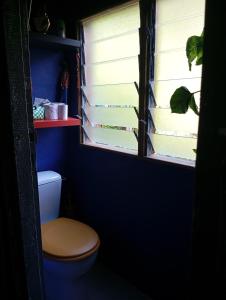 a bathroom with a toilet and two windows at River House superbe vue- vue et accès directe sur la rivière et baignade dans les bassins naturels in Saint-Joseph +38 photos