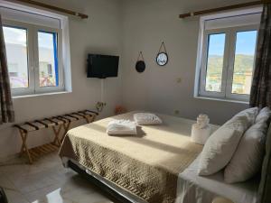 a bedroom with a bed and a tv and two windows at Maitos Apartments in Galanádhon
