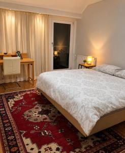a bedroom with a large bed with a red rug at Quiet & Friendly Bremen in Bremen