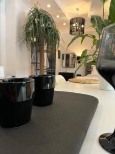 a room with two potted plants on a table at Apollonio Suites in Korinthos +25 photos