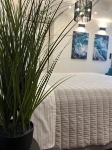 a plant in a pot next to a bed at Apollonio Suites in Korinthos