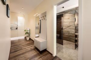 a bathroom with a walk in shower and a toilet at Haus der Weine in Rüdesheim am Rhein +47 photos