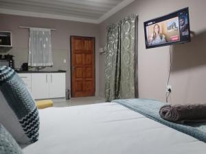 TV a/nebo společenská místnost v ubytování Ador Lodges - Kruger Road