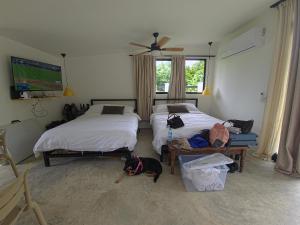 a bedroom with two beds and a dog laying on the floor at Suerte Bella in San Carlos